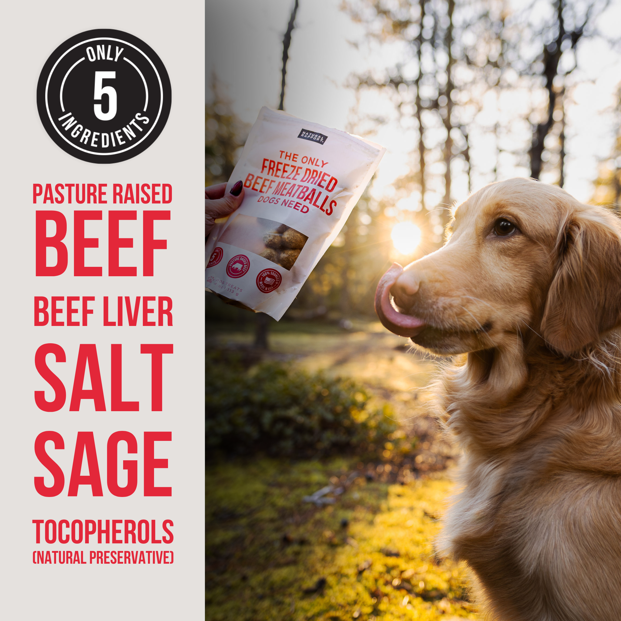 The Only Freeze Dried Beef Meatballs Dogs Need