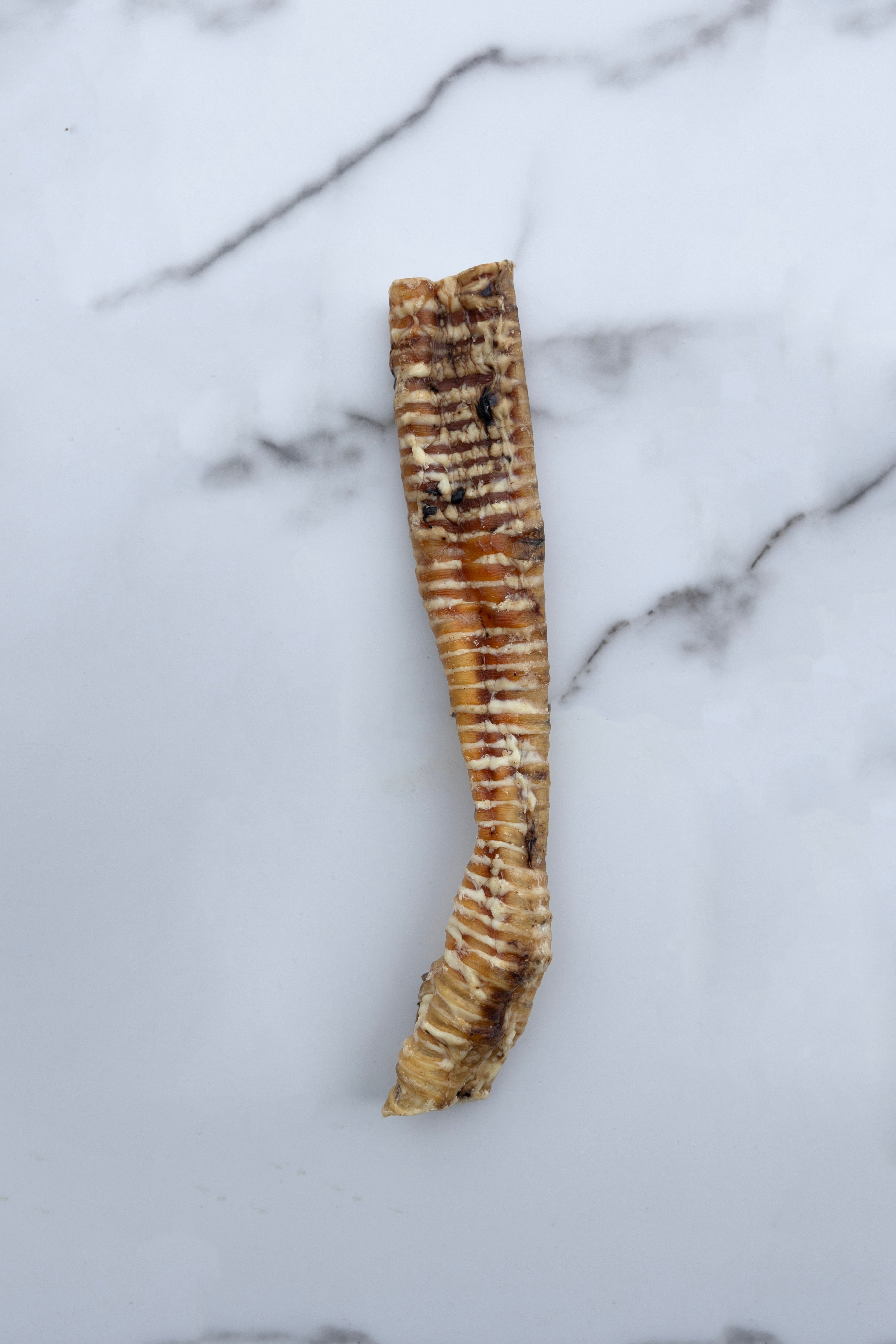 Lamb Trachea