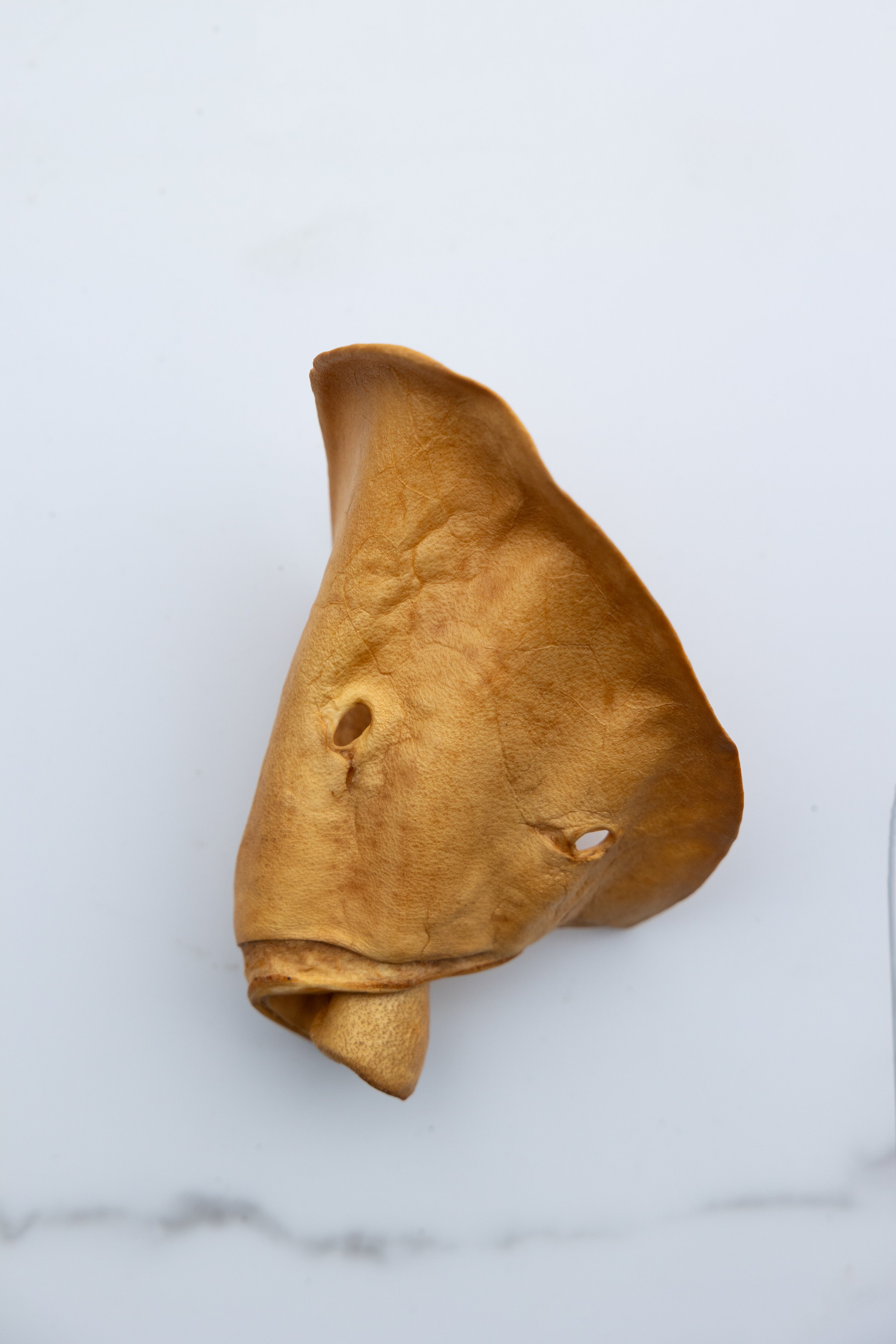 Pig Ear Large