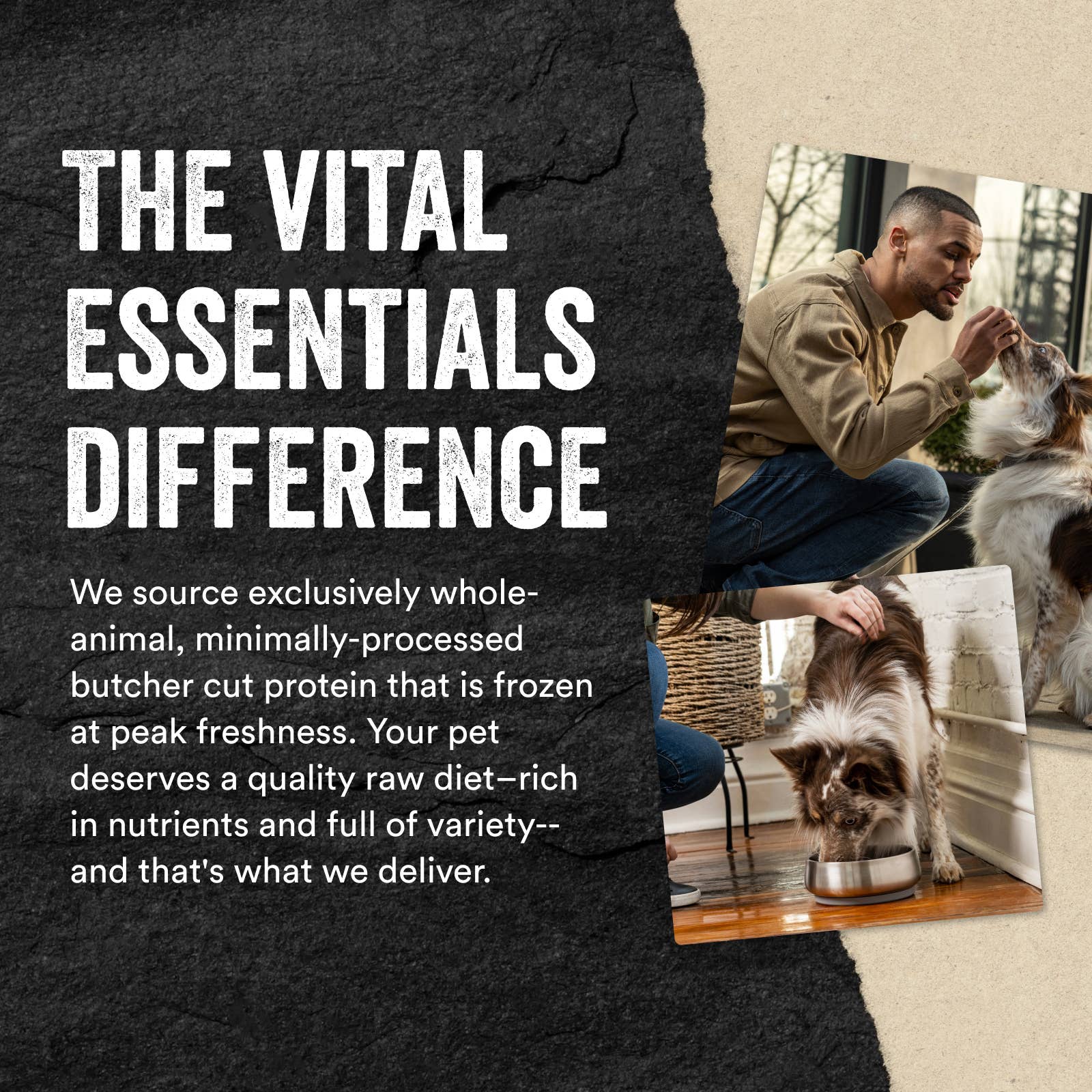 Vital Essentials Freeze-Dried Raw Chicken Necks Dog 9oz
